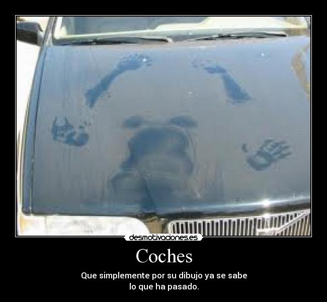 carteles coche desmotivaciones