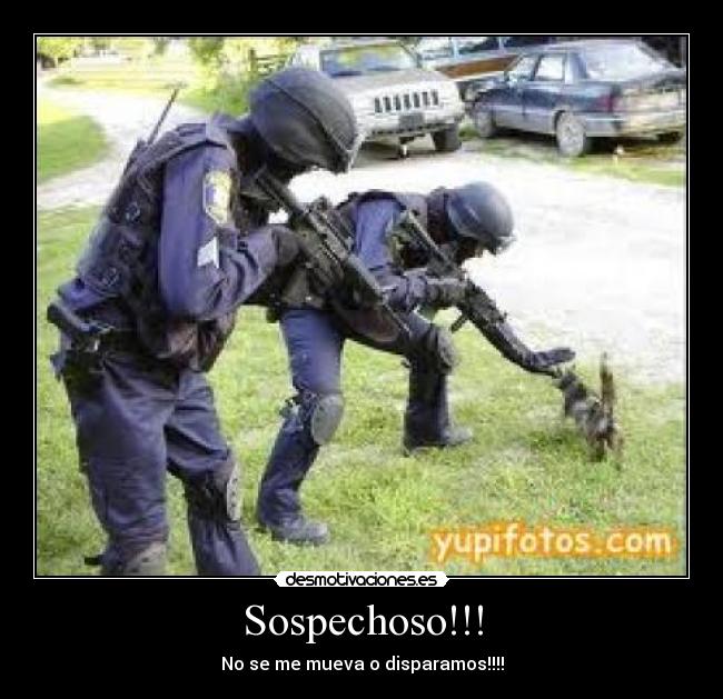 Sospechoso!!! - No se me mueva o disparamos!!!!