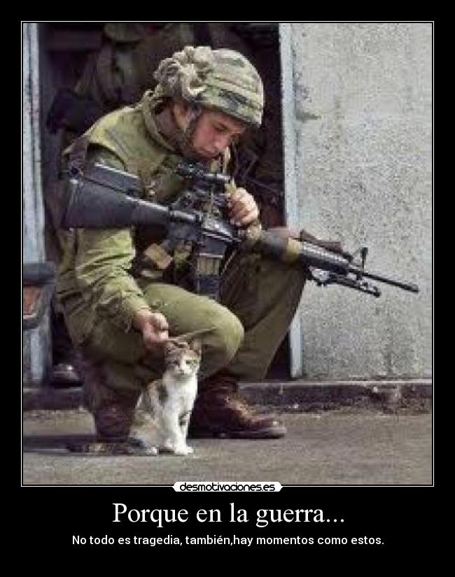 Porque en la guerra... - 