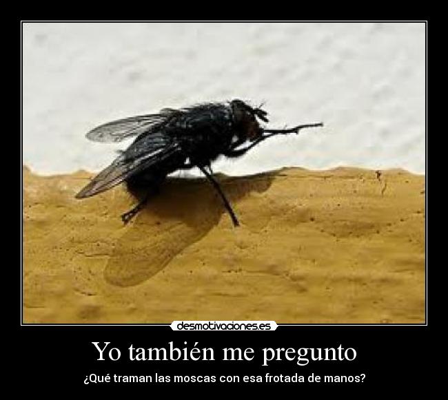 Yo también me pregunto -