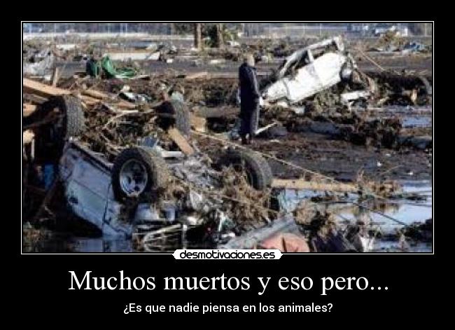 Muchos muertos y eso pero... - 