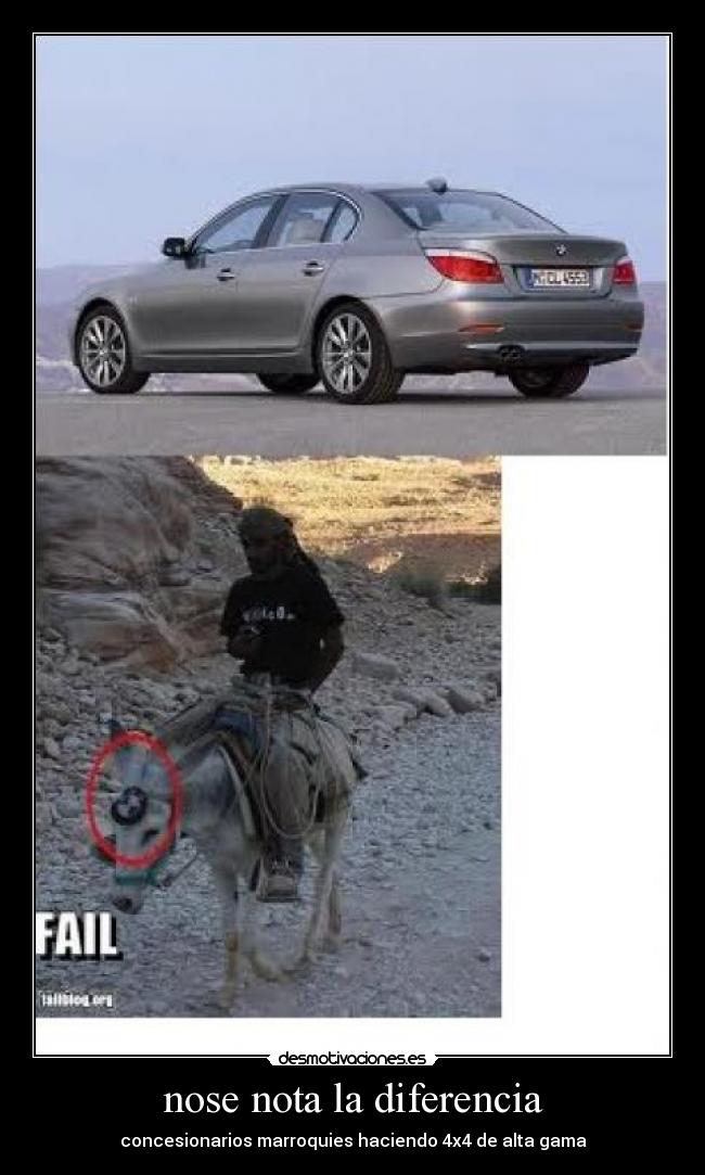 nose nota la diferencia - concesionarios marroquies haciendo 4x4 de alta gama