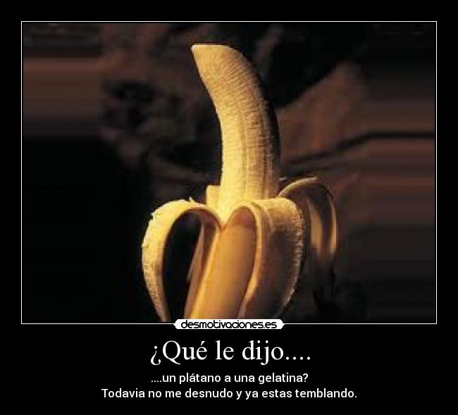 ¿Qué le dijo.... -