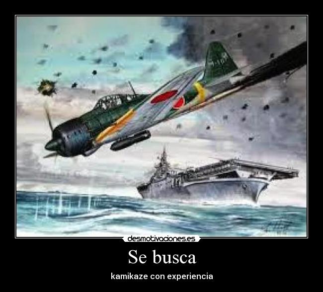 Se busca - kamikaze con experiencia