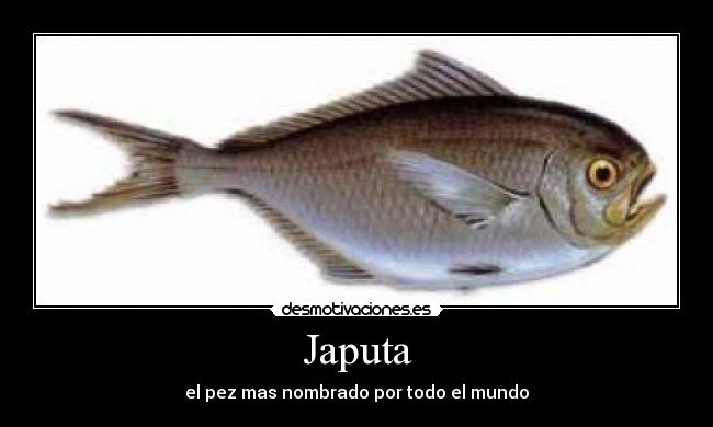 Japuta -