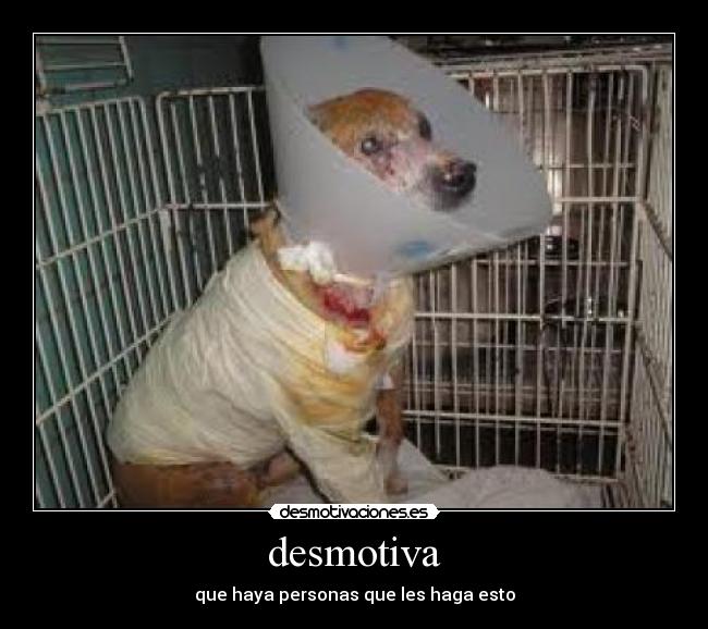desmotiva - 