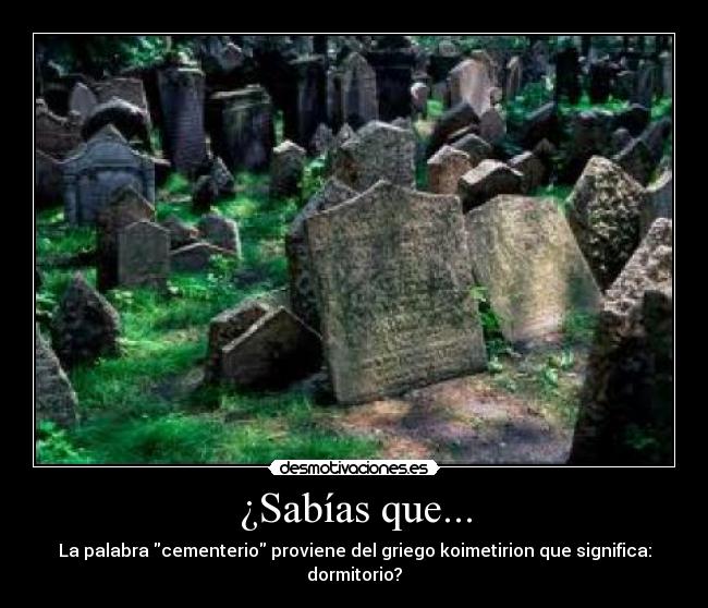¿Sabías que... -