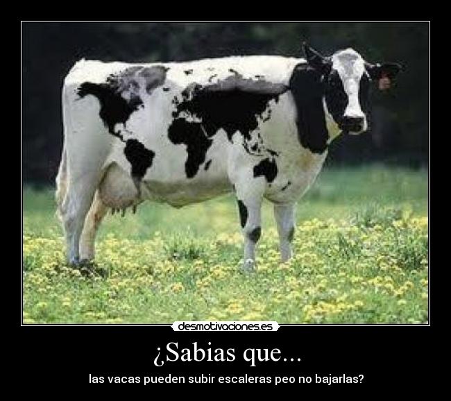 ¿Sabias que... -
