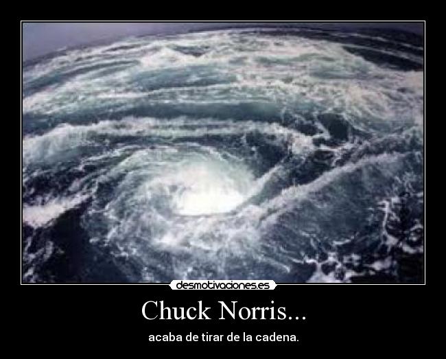 Chuck Norris... - acaba de tirar de la cadena.