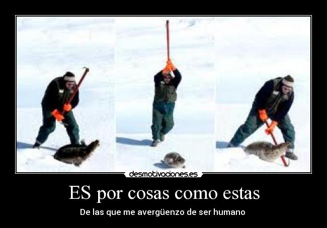 ES por cosas como estas -