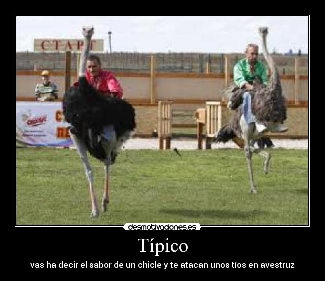 Típico - 