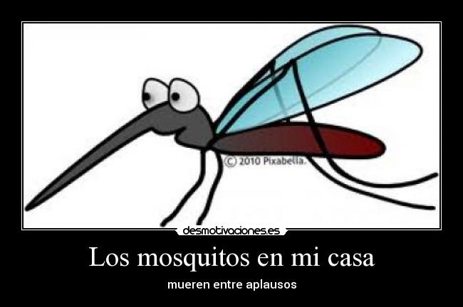 Los mosquitos en mi casa - mueren entre aplausos