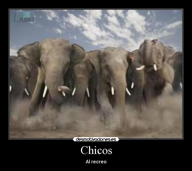 Chicos - Al recreo
