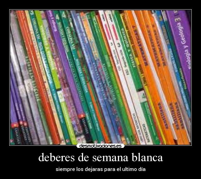 deberes de semana blanca - 