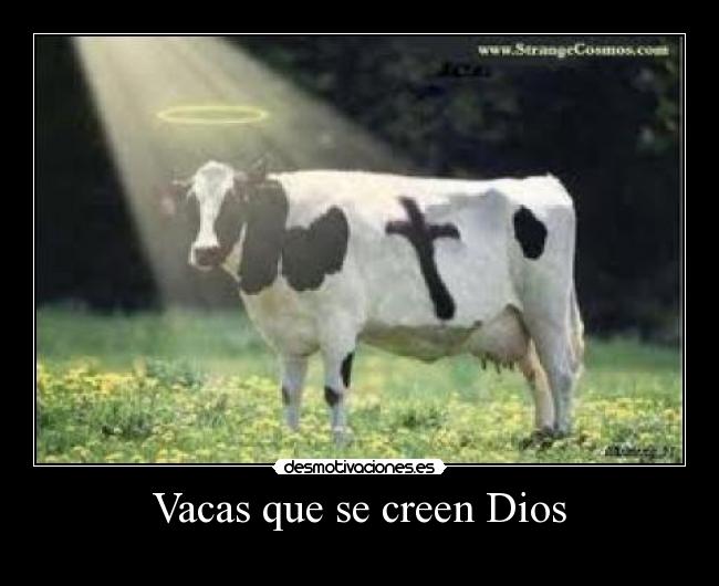 Vacas que se creen Dios -