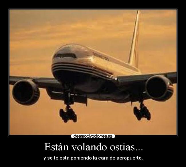 carteles estan volando ostias desmotivaciones