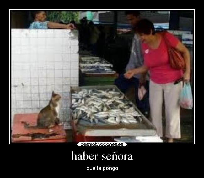 haber señora - 