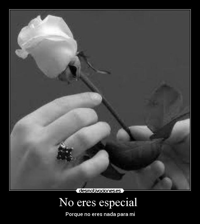 No eres especial  - 