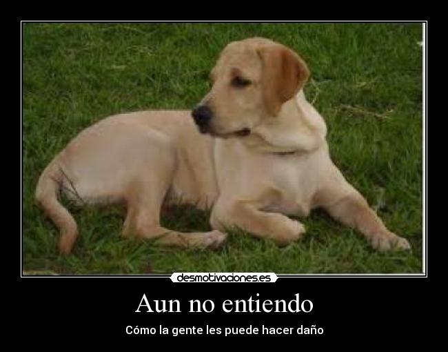 Aun no entiendo - Cómo la gente les puede hacer daño