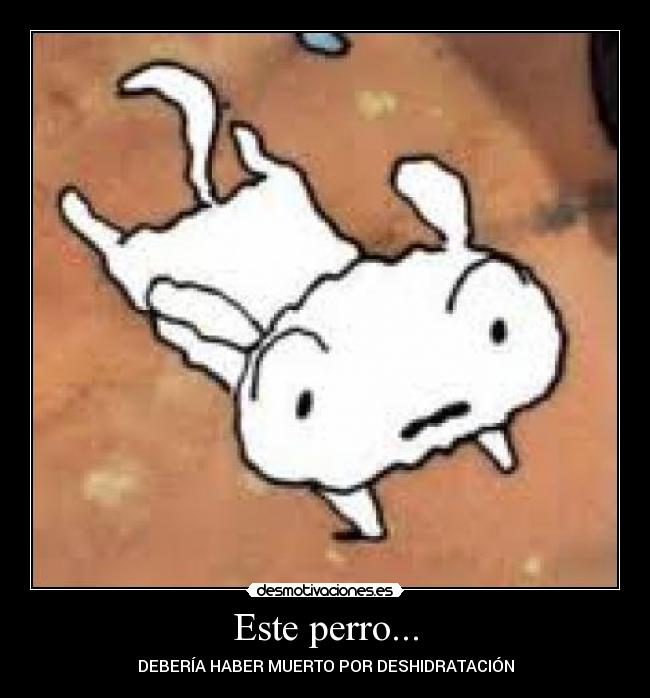 Este perro... -