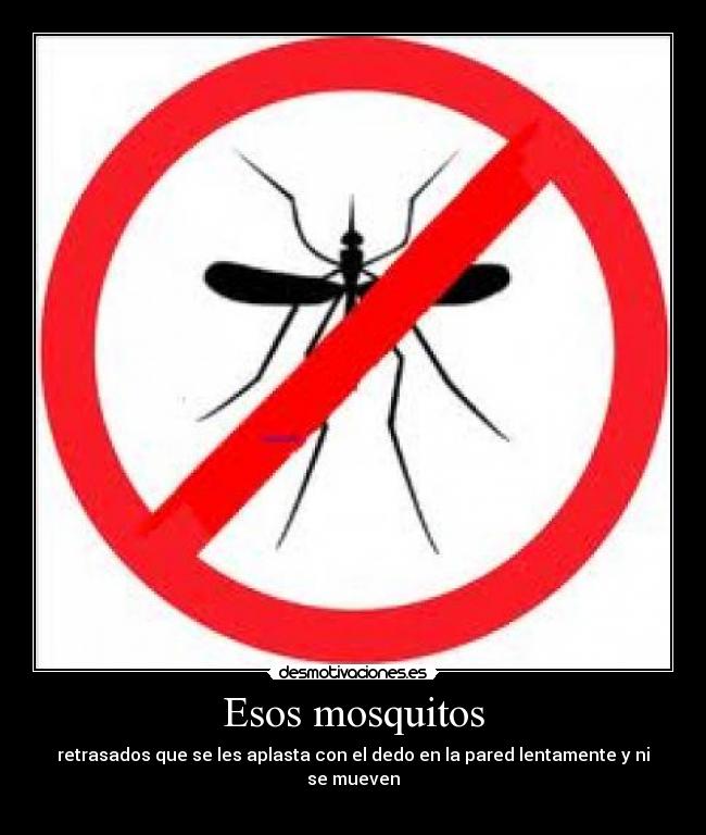 Esos mosquitos - retrasados que se les aplasta con el dedo en la pared lentamente y ni se mueven
