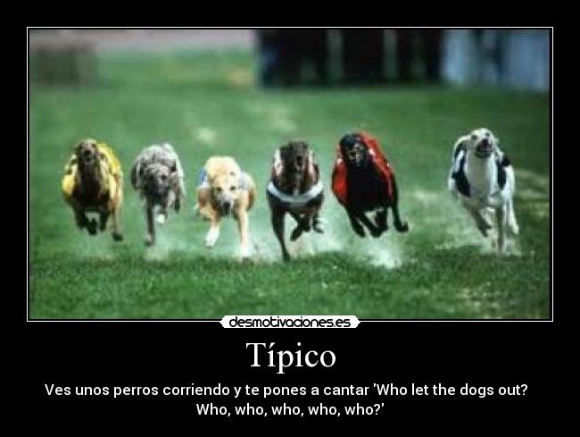 Típico - Ves unos perros corriendo y te pones a cantar Who let the dogs out?  
Who, who, who, who, who?