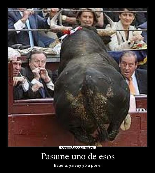 Pasame uno de esos -