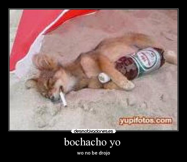 bochacho yo - wo no be drojo
