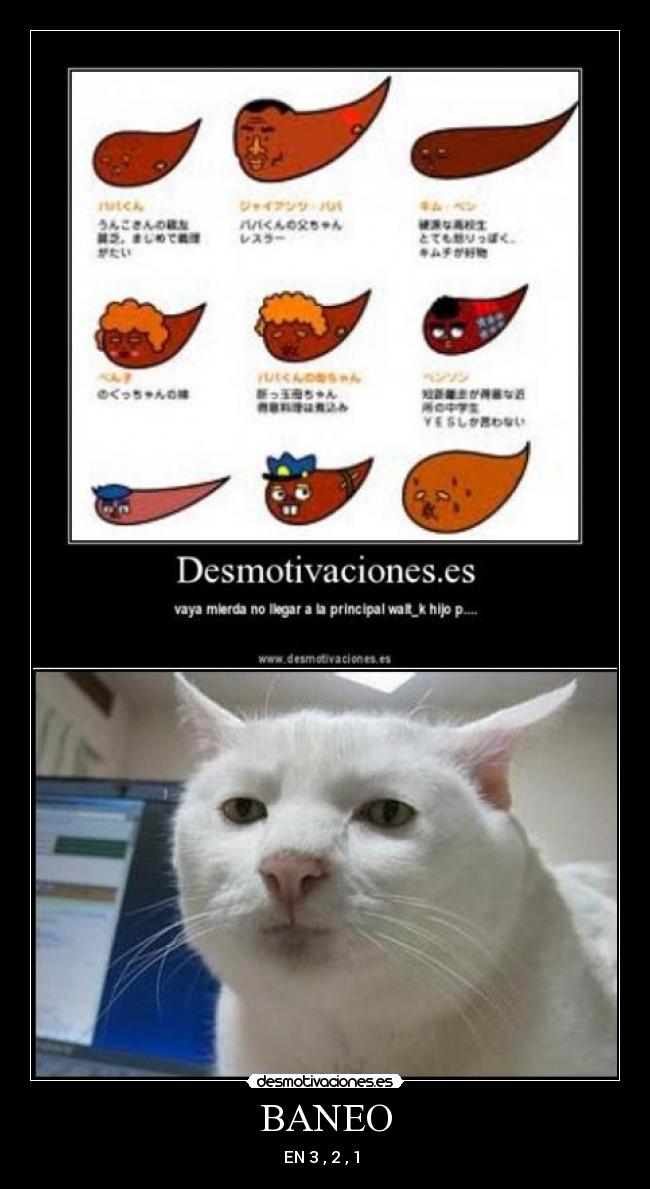 BANEO - EN 3 , 2 , 1 