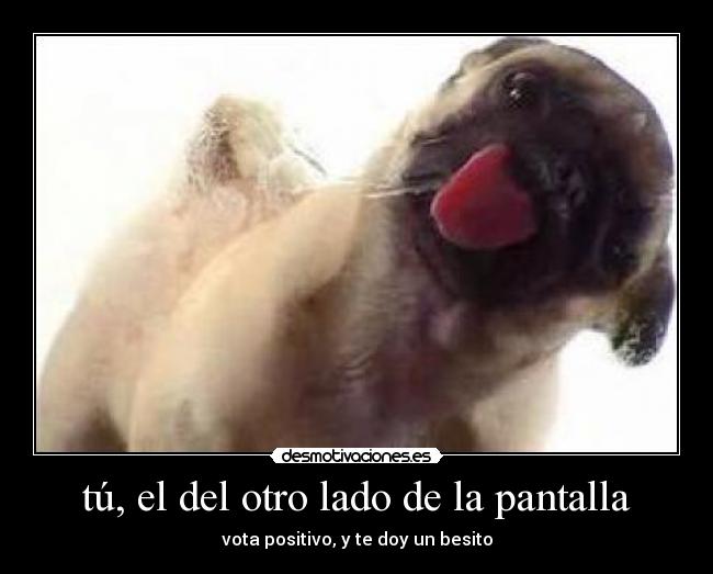 tú, el del otro lado de la pantalla - 