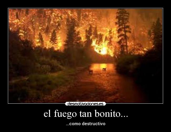 el fuego tan bonito... - ...como destructivo