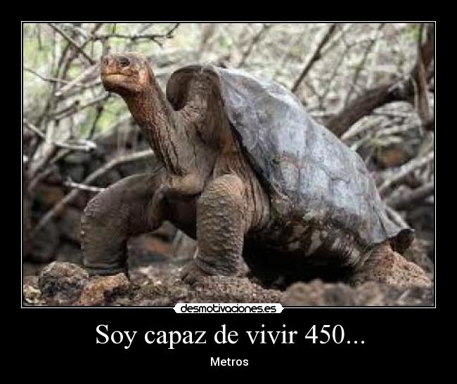 Soy capaz de vivir 450... -