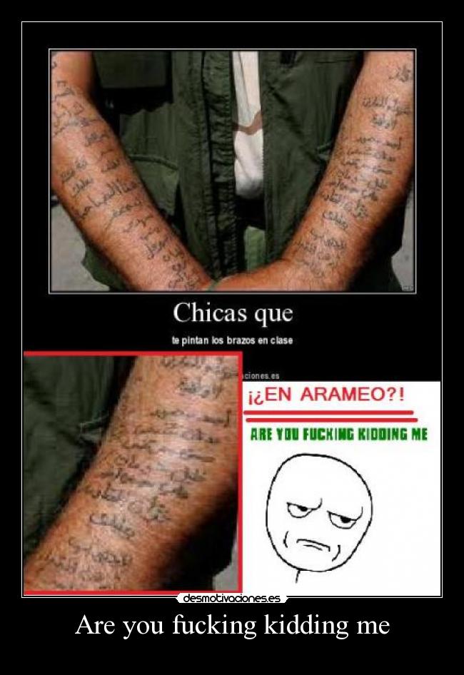 Are you fucking kidding me - 