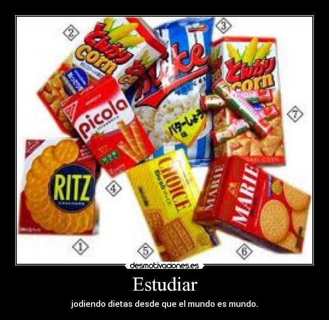 Estudiar - jodiendo dietas desde que el mundo es mundo.