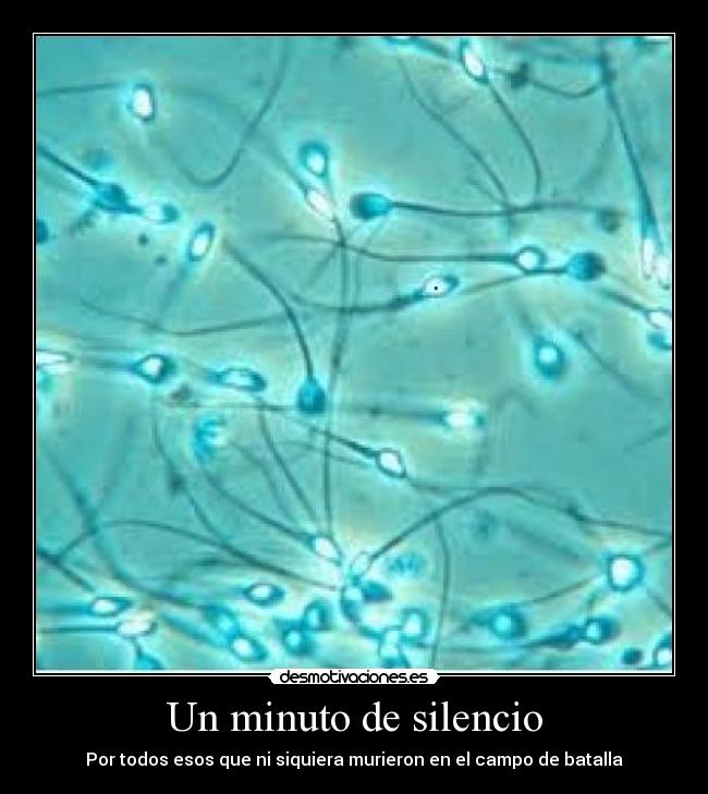 Un minuto de silencio - Por todos esos que ni siquiera murieron en el campo de batalla