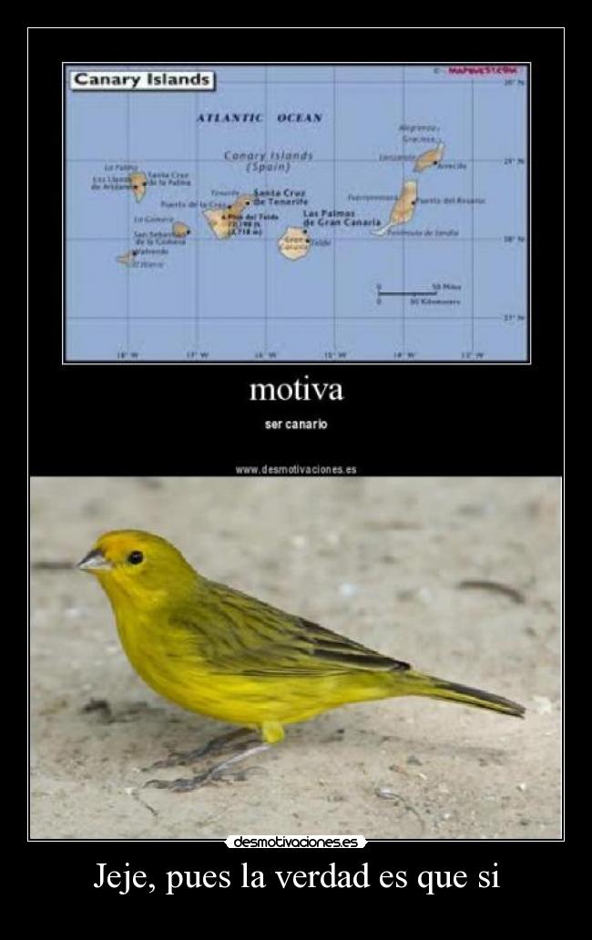 Jeje, pues la verdad es que si -