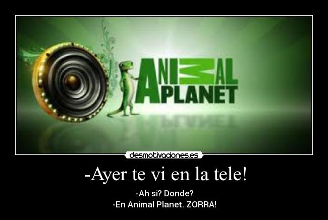 -Ayer te vi en la tele! -