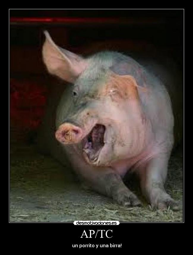AP/TC - un porrito y una birra!
