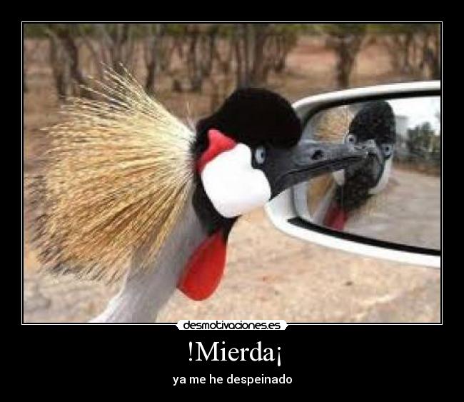 !Mierda¡ - 