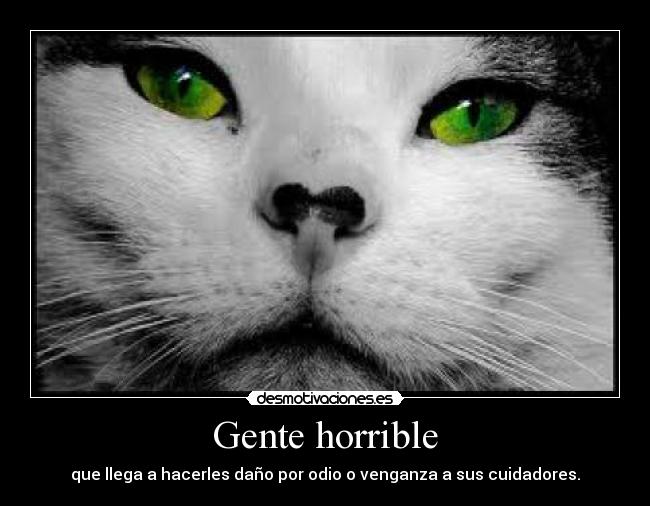 Gente horrible -