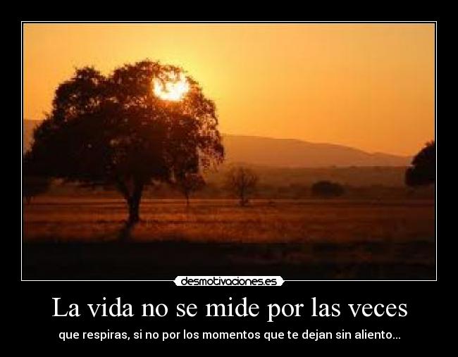 La vida no se mide por las veces - que respiras, si no por los momentos que te dejan sin aliento...