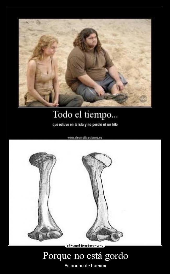 Porque no está gordo - 