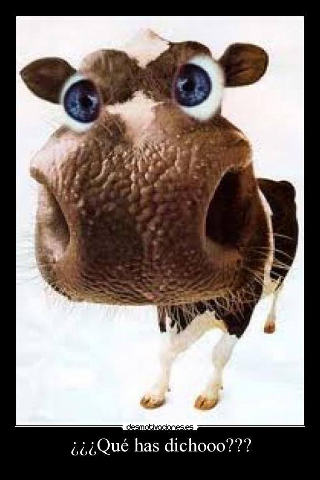 ¿¿¿Qué has dichooo??? -