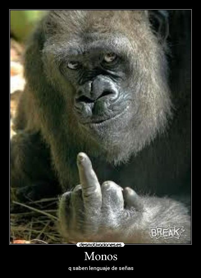 Monos -