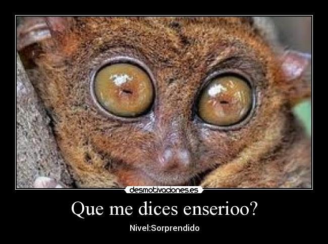 Que me dices enserioo? - 