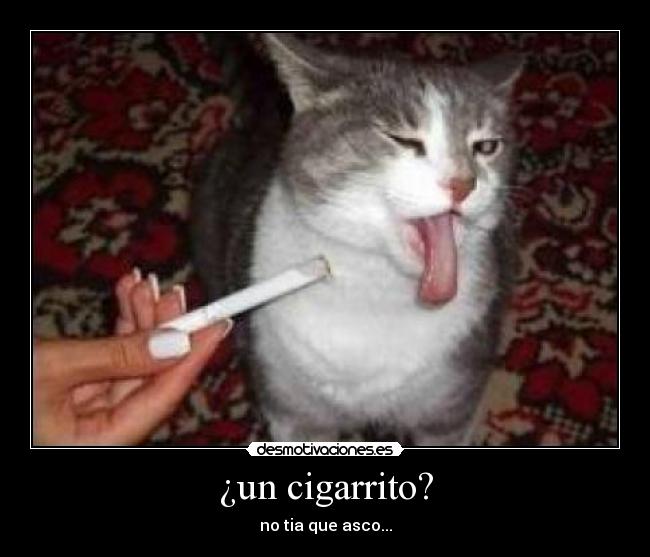 ¿un cigarrito? - no tia que asco...