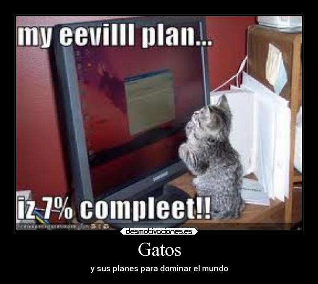 carteles gatos gatos desmotivaciones