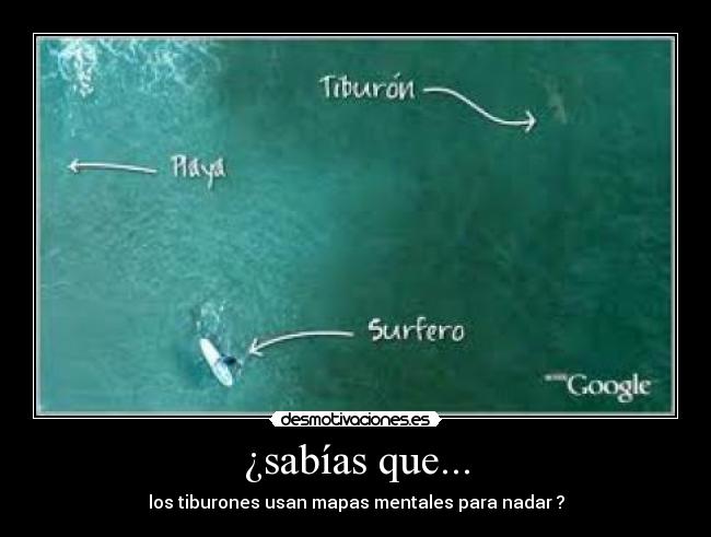 ¿sabías que... - los tiburones usan mapas mentales para nadar ?