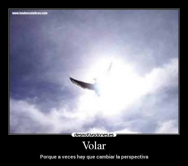 Volar - Porque a veces hay que cambiar la perspectiva