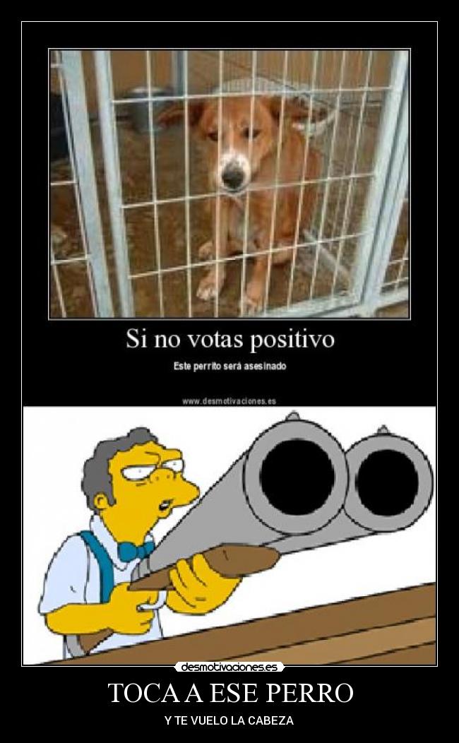 TOCA A ESE PERRO -